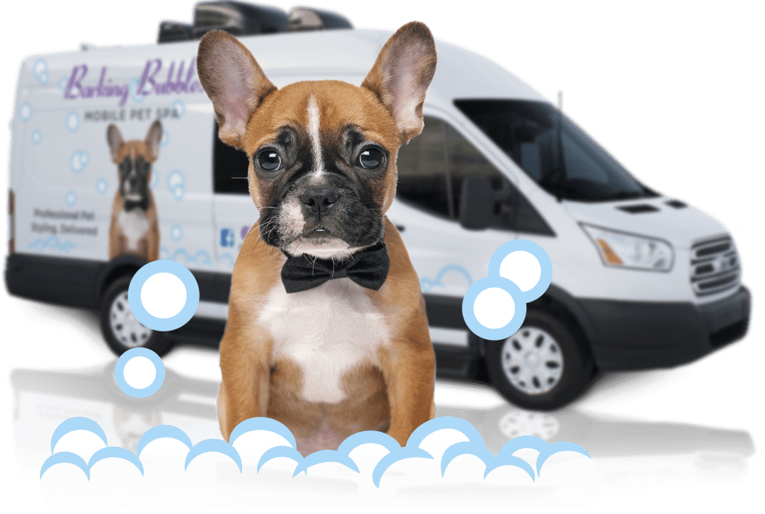 Barking Bubbles Mobile Pet Spa | Professional Pet Styling, Delivered.